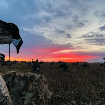3-Day Duck Hunt with Mouse River Outfitters