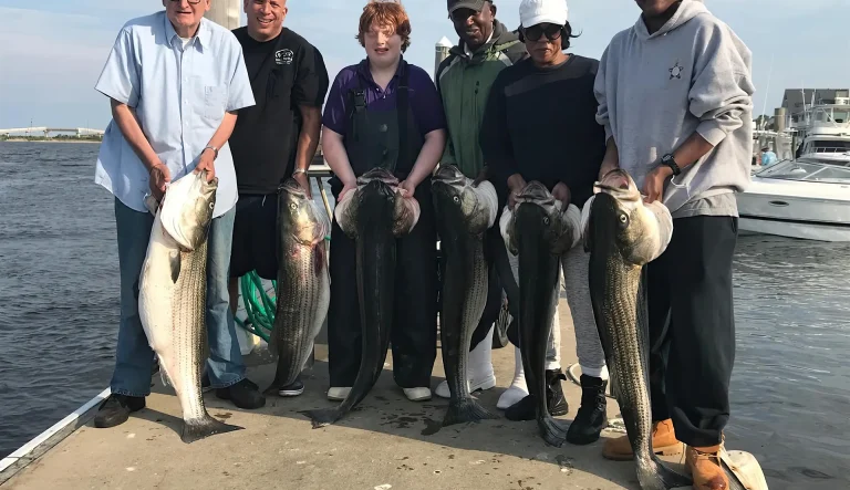 Scales N Tales Image 2-gigapixel-art-scale-4_00x