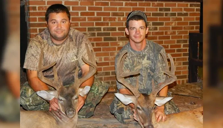 collins-velvet-bucks-960x675